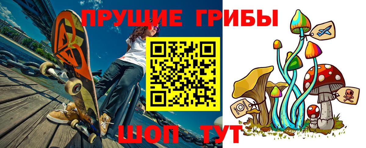 закладки  Галлюциногенные грибы Psilocybine cubensis  Вход с VPN  Ртищево 